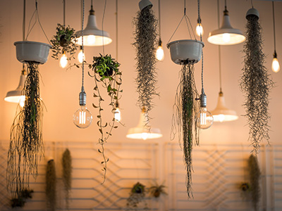 在线手机号轰炸